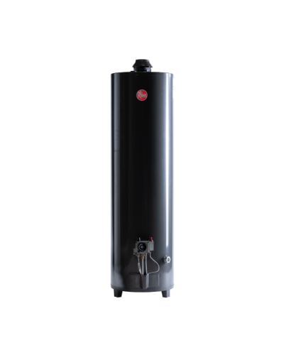 TERMOTANQUE RHEEM 160 LT ALTA POTENCIA (APG160LRH07)